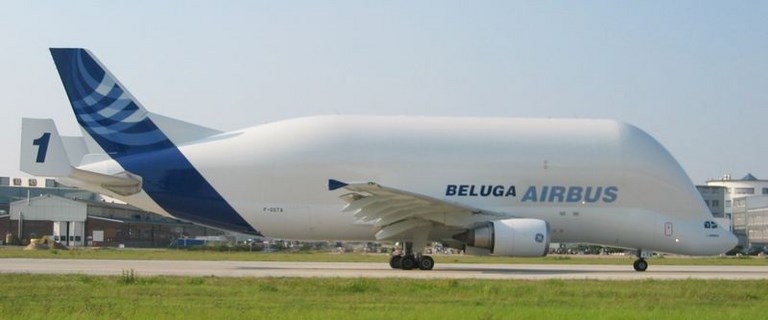 Beluga