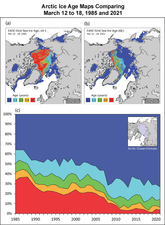 Sea Ice concentration Antarctic