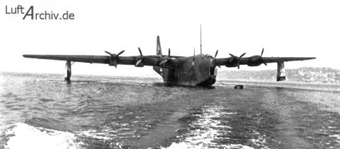 Bloom-Voss BV238